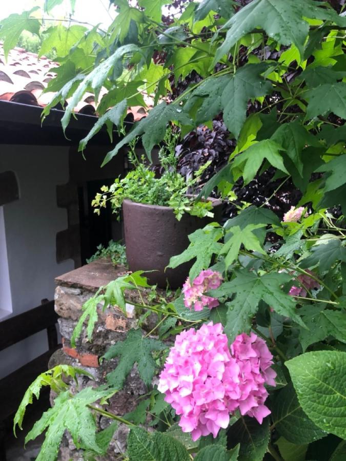 Hdec Hosteria De Castaneda Alojamiento Turistico Puente Viesgo Εξωτερικό φωτογραφία